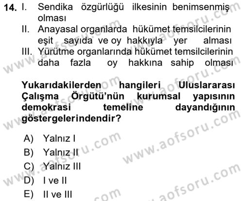 Uluslararası Sosyal Politika Dersi 2021 - 2022 Yılı (Vize) Ara Sınav Soruları 14. Soru