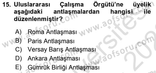 Uluslararası Sosyal Politika Dersi 2021 - 2022 Yılı (Vize) Ara Sınav Soruları 15. Soru
