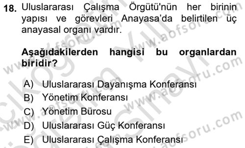 Uluslararası Sosyal Politika Dersi 2021 - 2022 Yılı (Vize) Ara Sınav Soruları 18. Soru