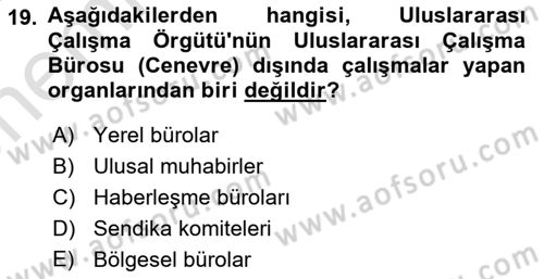 Uluslararası Sosyal Politika Dersi 2021 - 2022 Yılı (Vize) Ara Sınav Soruları 19. Soru