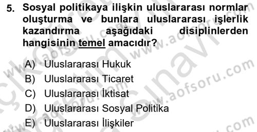 Uluslararası Sosyal Politika Dersi 2021 - 2022 Yılı (Vize) Ara Sınav Soruları 5. Soru