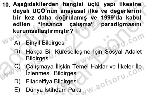 Uluslararası Sosyal Politika Dersi 2021 - 2022 Yılı (Final) Dönem Sonu Sınav Soruları 10. Soru