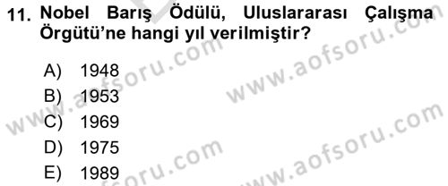 Uluslararası Sosyal Politika Dersi 2021 - 2022 Yılı (Final) Dönem Sonu Sınav Soruları 11. Soru