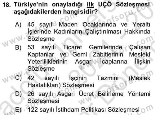 Uluslararası Sosyal Politika Dersi 2021 - 2022 Yılı (Final) Dönem Sonu Sınav Soruları 18. Soru