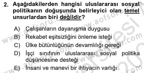 Uluslararası Sosyal Politika Dersi 2021 - 2022 Yılı (Final) Dönem Sonu Sınav Soruları 2. Soru