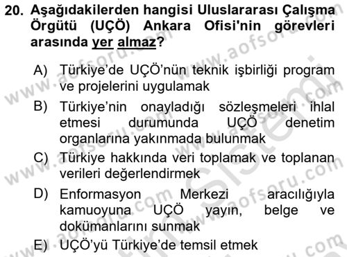 Uluslararası Sosyal Politika Dersi 2021 - 2022 Yılı (Final) Dönem Sonu Sınav Soruları 20. Soru