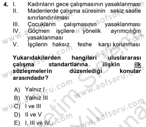 Uluslararası Sosyal Politika Dersi 2021 - 2022 Yılı (Final) Dönem Sonu Sınav Soruları 4. Soru