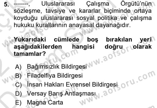 Uluslararası Sosyal Politika Dersi 2021 - 2022 Yılı (Final) Dönem Sonu Sınav Soruları 5. Soru