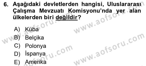 Uluslararası Sosyal Politika Dersi 2021 - 2022 Yılı (Final) Dönem Sonu Sınav Soruları 6. Soru
