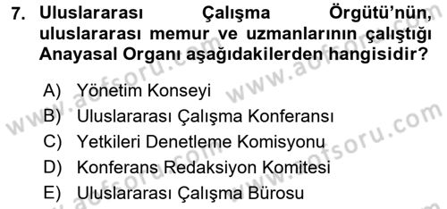 Uluslararası Sosyal Politika Dersi 2021 - 2022 Yılı (Final) Dönem Sonu Sınav Soruları 7. Soru