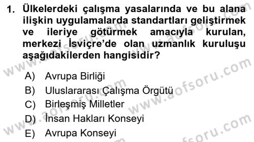 Uluslararası Sosyal Politika Dersi 2021 - 2022 Yılı Yaz Okulu Sınav Soruları 1. Soru