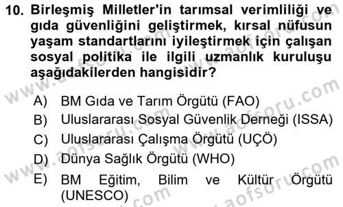 Uluslararası Sosyal Politika Dersi 2021 - 2022 Yılı Yaz Okulu Sınav Soruları 10. Soru