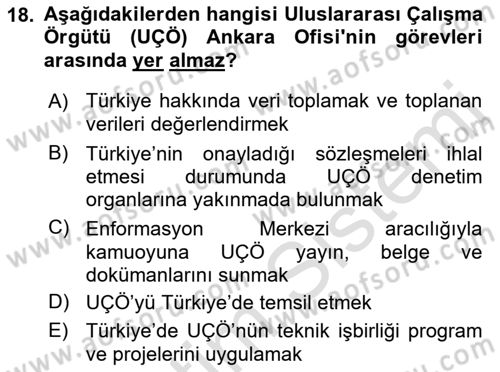 Uluslararası Sosyal Politika Dersi 2021 - 2022 Yılı Yaz Okulu Sınav Soruları 18. Soru