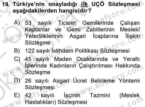 Uluslararası Sosyal Politika Dersi 2021 - 2022 Yılı Yaz Okulu Sınav Soruları 19. Soru