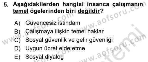 Uluslararası Sosyal Politika Dersi 2021 - 2022 Yılı Yaz Okulu Sınav Soruları 5. Soru