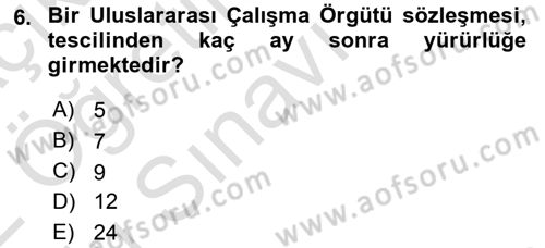 Uluslararası Sosyal Politika Dersi 2021 - 2022 Yılı Yaz Okulu Sınav Soruları 6. Soru