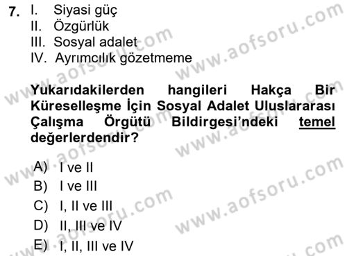 Uluslararası Sosyal Politika Dersi 2021 - 2022 Yılı Yaz Okulu Sınav Soruları 7. Soru