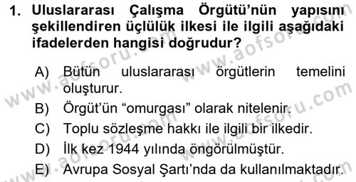 Uluslararası Sosyal Politika Dersi 2022 - 2023 Yılı Yaz Okulu Sınav Soruları 1. Soru