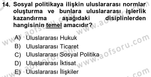 Uluslararası Sosyal Politika Dersi 2022 - 2023 Yılı Yaz Okulu Sınav Soruları 14. Soru
