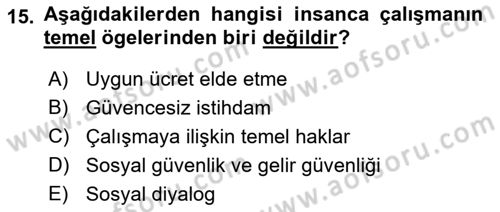 Uluslararası Sosyal Politika Dersi 2022 - 2023 Yılı Yaz Okulu Sınav Soruları 15. Soru