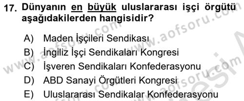 Uluslararası Sosyal Politika Dersi 2022 - 2023 Yılı Yaz Okulu Sınav Soruları 17. Soru
