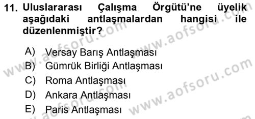 Uluslararası Sosyal Politika Dersi 2023 - 2024 Yılı (Vize) Ara Sınav Soruları 11. Soru