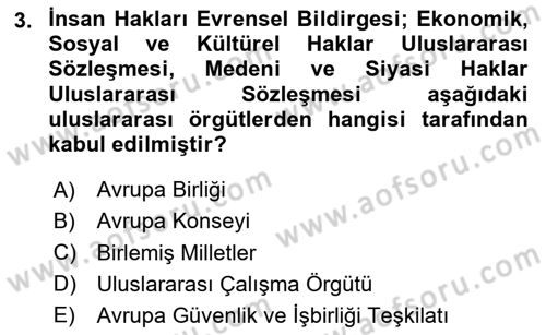 Uluslararası Sosyal Politika Dersi 2023 - 2024 Yılı (Vize) Ara Sınav Soruları 3. Soru