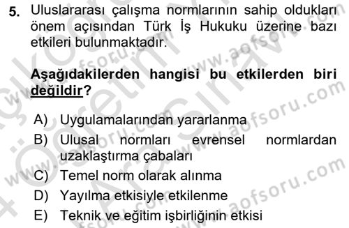 Uluslararası Sosyal Politika Dersi 2023 - 2024 Yılı (Vize) Ara Sınav Soruları 5. Soru