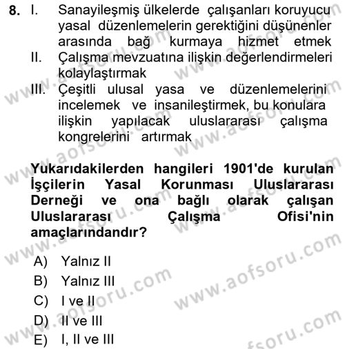 Uluslararası Sosyal Politika Dersi 2023 - 2024 Yılı (Vize) Ara Sınav Soruları 8. Soru