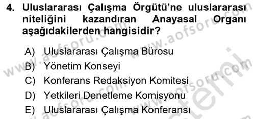 Uluslararası Sosyal Politika Dersi 2023 - 2024 Yılı (Final) Dönem Sonu Sınav Soruları 4. Soru