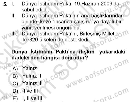 Uluslararası Sosyal Politika Dersi 2023 - 2024 Yılı (Final) Dönem Sonu Sınav Soruları 5. Soru