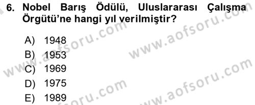 Uluslararası Sosyal Politika Dersi 2023 - 2024 Yılı (Final) Dönem Sonu Sınav Soruları 6. Soru