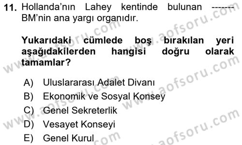 Uluslararası Sosyal Politika Dersi 2023 - 2024 Yılı Yaz Okulu Sınav Soruları 11. Soru