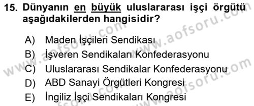 Uluslararası Sosyal Politika Dersi 2023 - 2024 Yılı Yaz Okulu Sınav Soruları 15. Soru