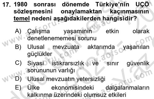 Uluslararası Sosyal Politika Dersi 2023 - 2024 Yılı Yaz Okulu Sınav Soruları 17. Soru