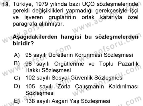 Uluslararası Sosyal Politika Dersi 2023 - 2024 Yılı Yaz Okulu Sınav Soruları 18. Soru