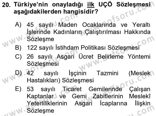 Uluslararası Sosyal Politika Dersi 2023 - 2024 Yılı Yaz Okulu Sınav Soruları 20. Soru