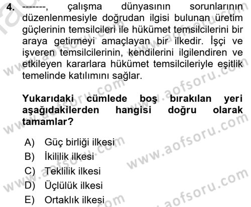 Uluslararası Sosyal Politika Dersi 2023 - 2024 Yılı Yaz Okulu Sınav Soruları 4. Soru