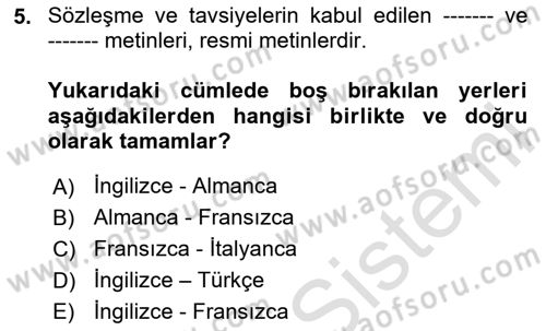 Uluslararası Sosyal Politika Dersi 2023 - 2024 Yılı Yaz Okulu Sınav Soruları 5. Soru