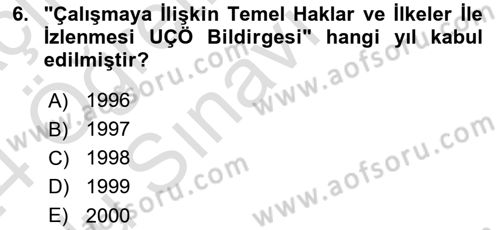 Uluslararası Sosyal Politika Dersi 2023 - 2024 Yılı Yaz Okulu Sınav Soruları 6. Soru