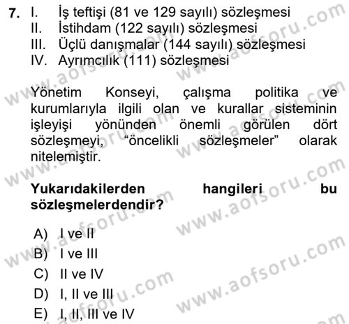 Uluslararası Sosyal Politika Dersi 2023 - 2024 Yılı Yaz Okulu Sınav Soruları 7. Soru
