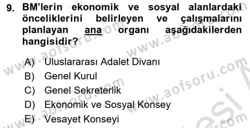 Uluslararası Sosyal Politika Dersi 2023 - 2024 Yılı Yaz Okulu Sınav Soruları 9. Soru