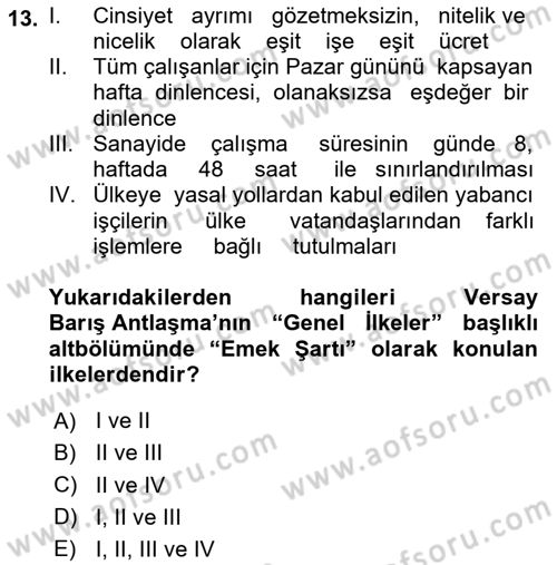 Uluslararası Sosyal Politika Dersi 2024 - 2025 Yılı (Vize) Ara Sınav Soruları 13. Soru