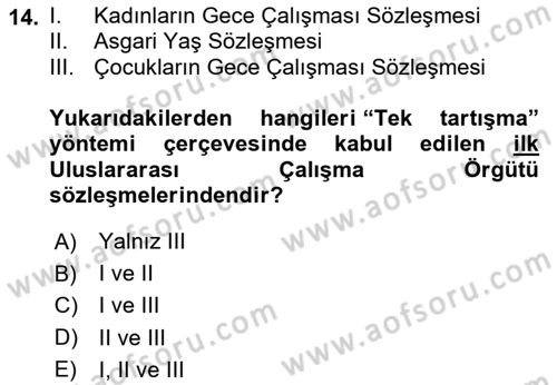 Uluslararası Sosyal Politika Dersi 2024 - 2025 Yılı (Vize) Ara Sınav Soruları 14. Soru