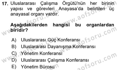 Uluslararası Sosyal Politika Dersi 2024 - 2025 Yılı (Vize) Ara Sınav Soruları 17. Soru