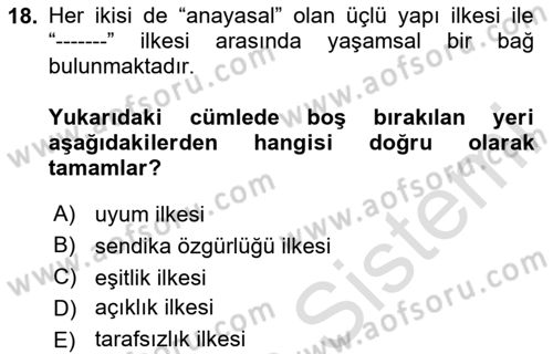 Uluslararası Sosyal Politika Dersi 2024 - 2025 Yılı (Vize) Ara Sınav Soruları 18. Soru