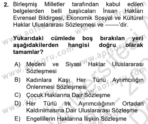 Uluslararası Sosyal Politika Dersi 2024 - 2025 Yılı (Vize) Ara Sınav Soruları 2. Soru