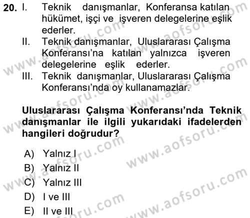 Uluslararası Sosyal Politika Dersi 2024 - 2025 Yılı (Vize) Ara Sınav Soruları 20. Soru