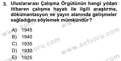 Uluslararası Sosyal Politika Dersi 2024 - 2025 Yılı (Vize) Ara Sınav Soruları 3. Soru