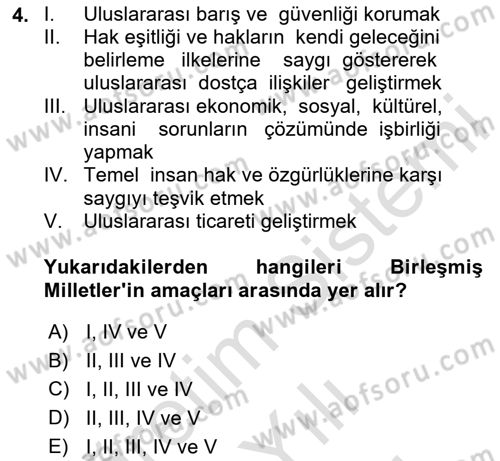 Uluslararası Sosyal Politika Dersi 2024 - 2025 Yılı (Vize) Ara Sınav Soruları 4. Soru